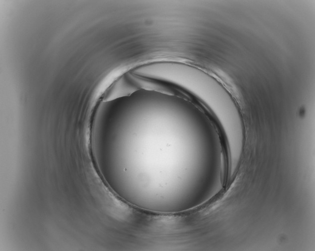 X0000092011188200709131528
