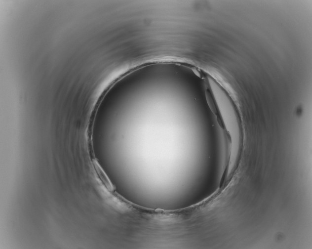 X0000092011189200709131528
