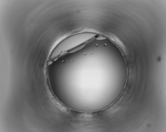 X0000092011190200709131528
