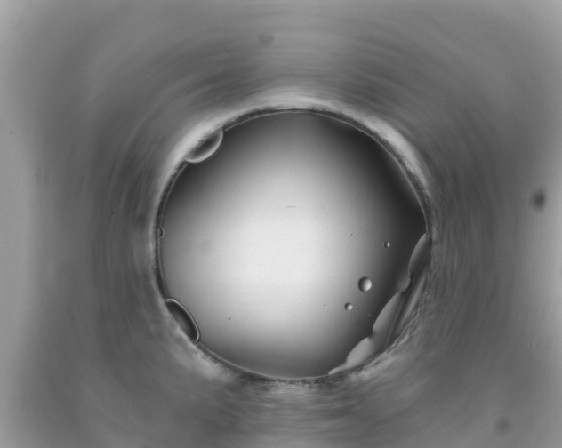 X0000092011191200709131528