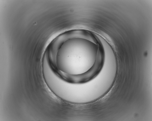 X0000092011192200709131528