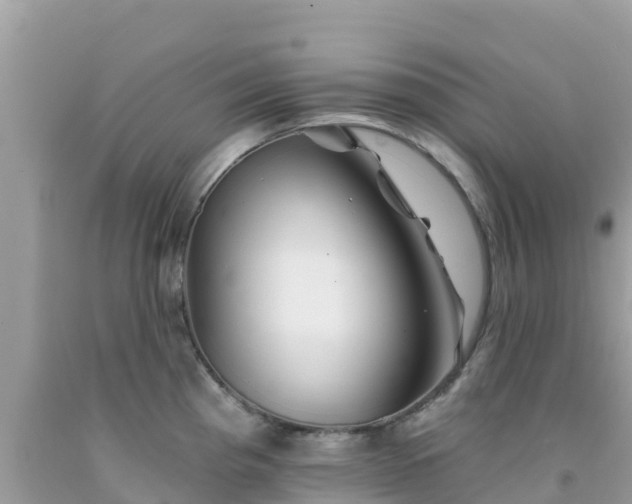 X0000092011193200709131528