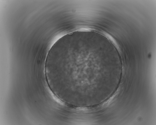 X0000092011194200709131528