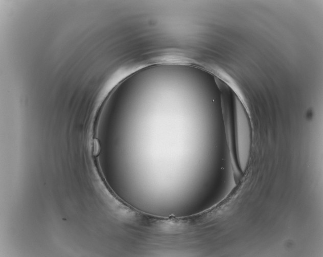 X0000092011195200709131528