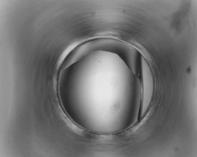X0000092011196200709131528