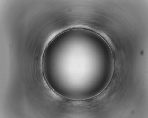 X0000092011199200709131528