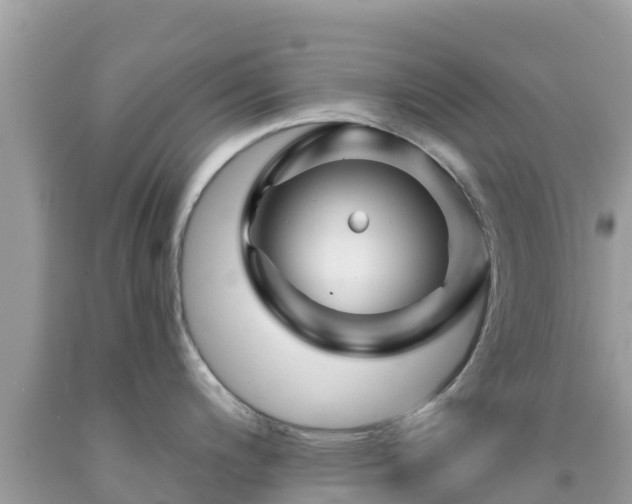 X0000092011200200709131528