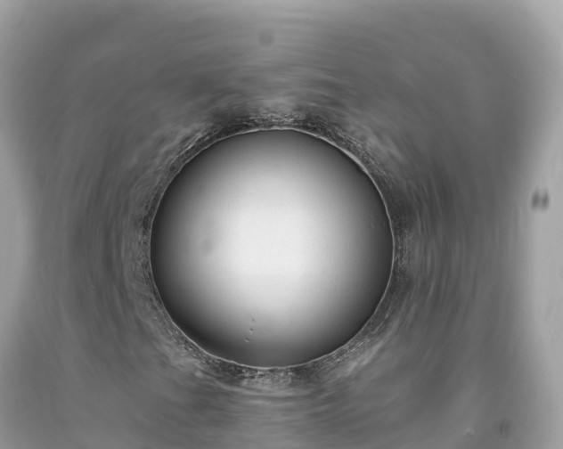 X0000092011201200709131527