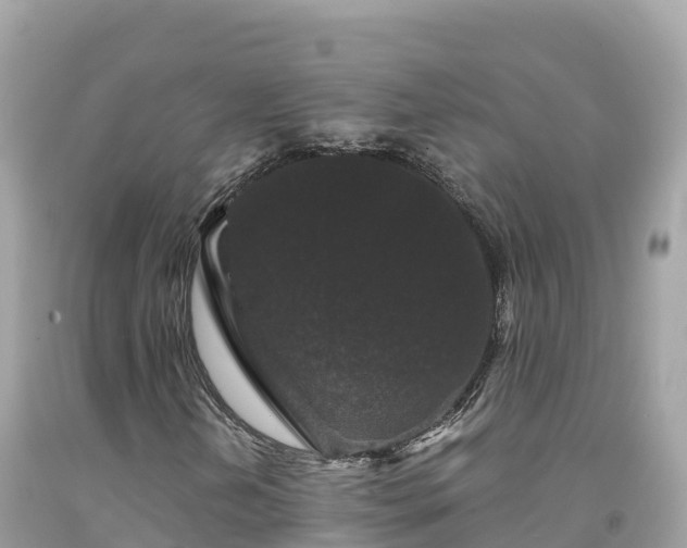 X0000092011202200709131527