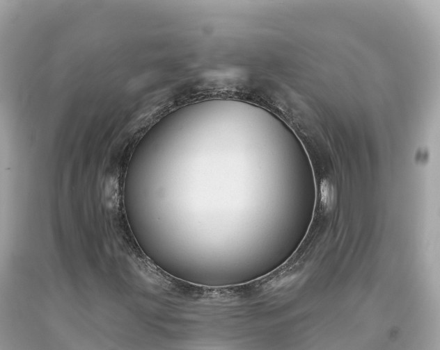 X0000092011203200709131527