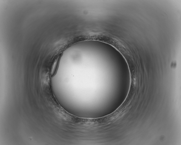 X0000092011204200709131527