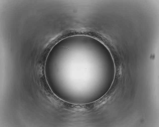 X0000092011205200709131527