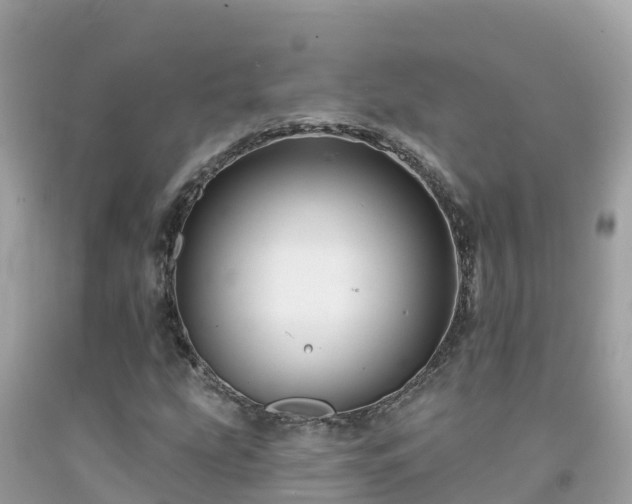 X0000092011207200709131527