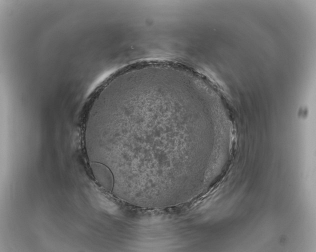 X0000092011208200709131527
