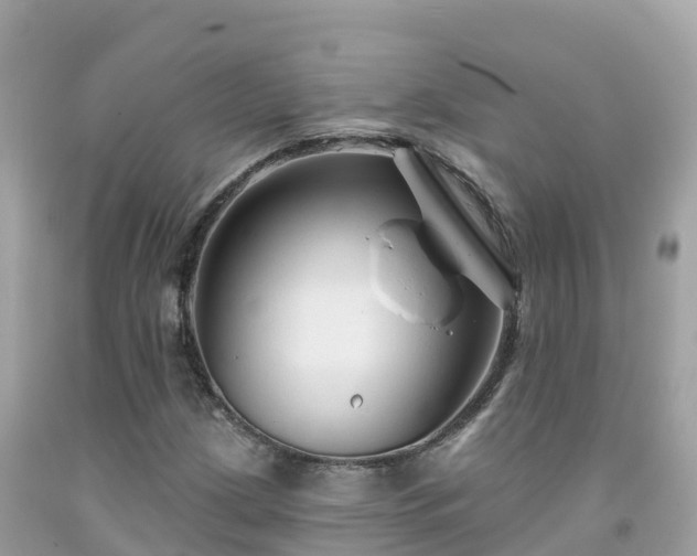 X0000092011209200709131527