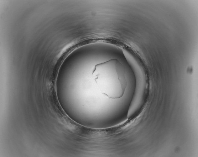 X0000092011210200709131527