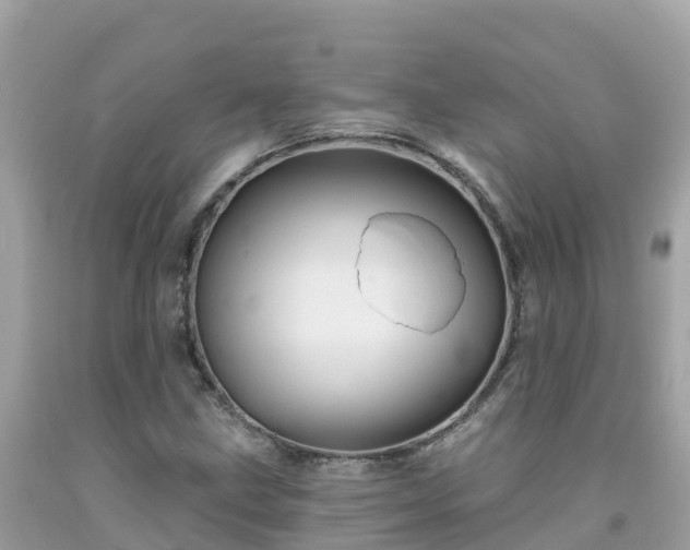 X0000092011211200709131527