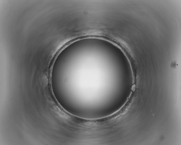 X0000092011212200709131527