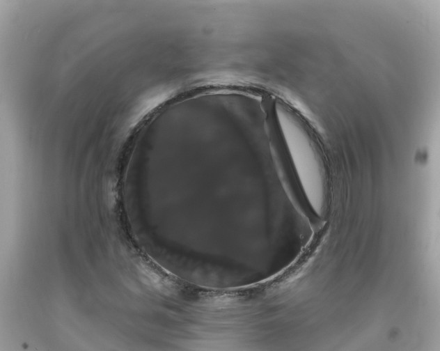 X0000092011213200709131527