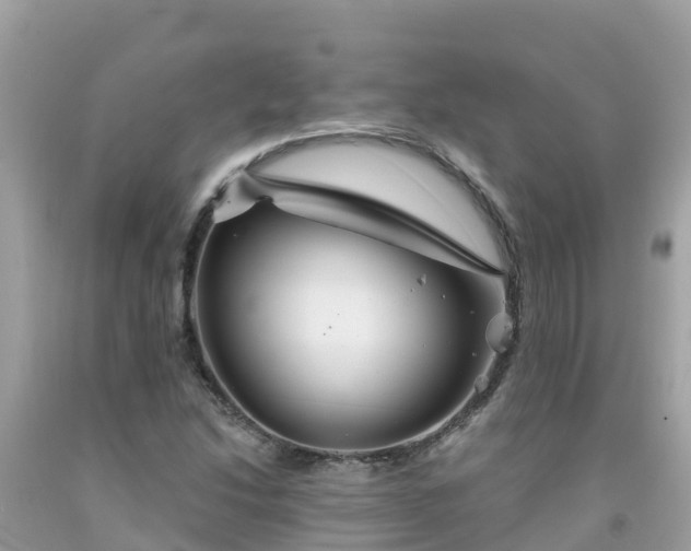 X0000092011214200709131527