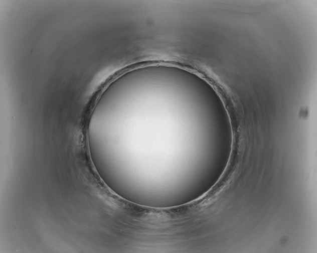 X0000092011215200709131527