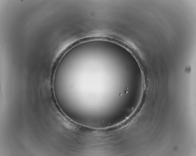 X0000092011216200709131527