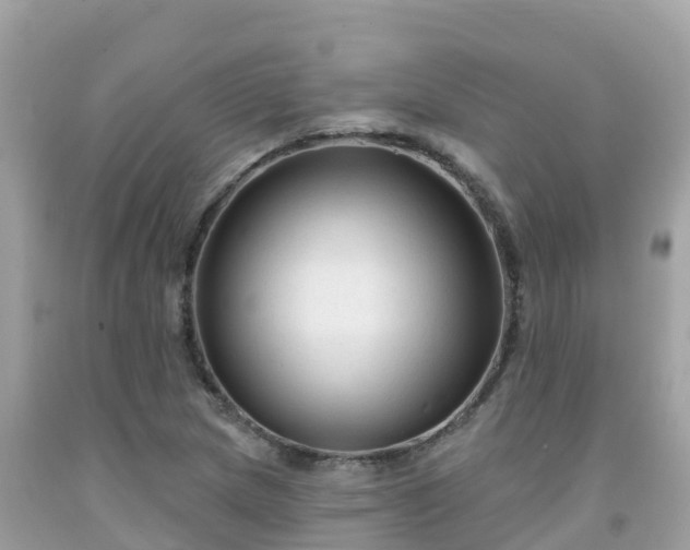 X0000092011217200709131527