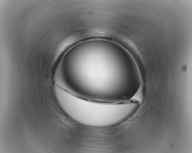 X0000092011218200709131527