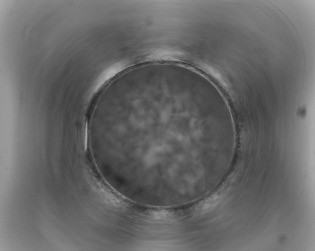 X0000092011219200709131527
