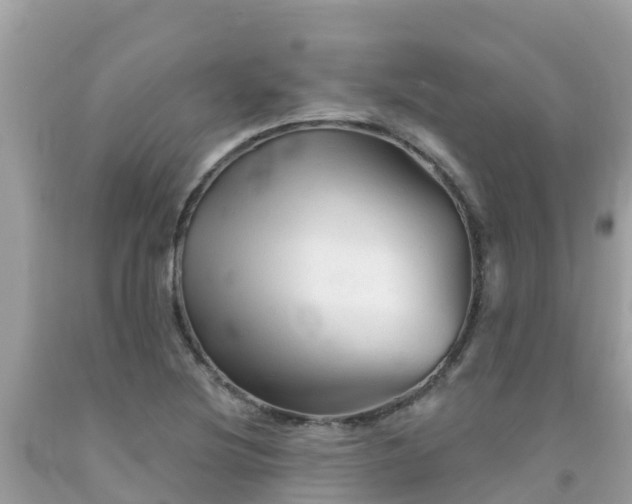 X0000092011220200709131527