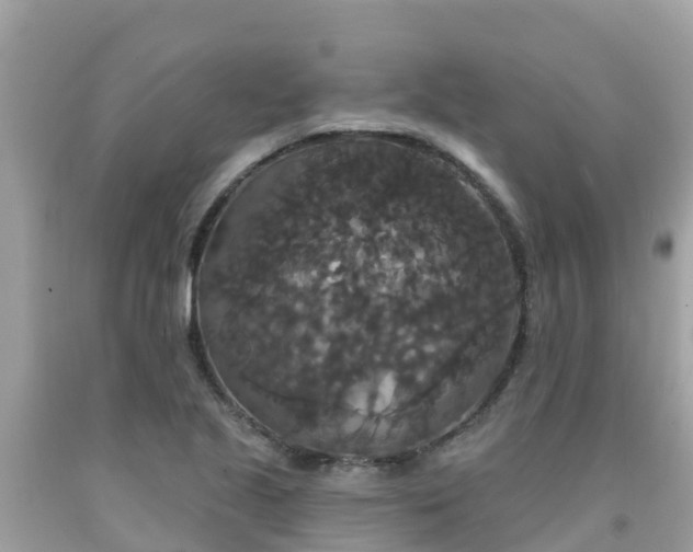X0000092011221200709131528