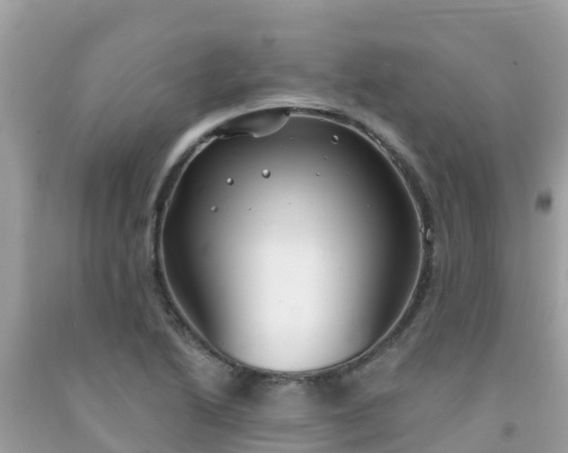 X0000092011222200709131528