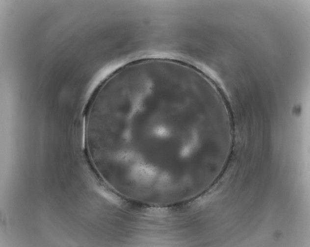 X0000092011223200709131528