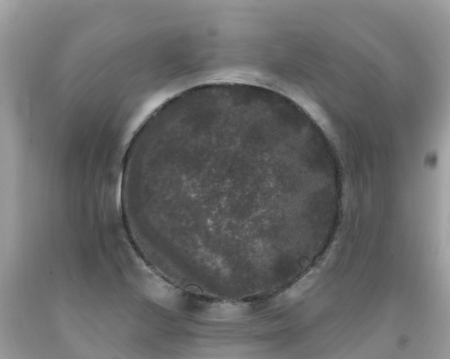 X0000092011224200709131528