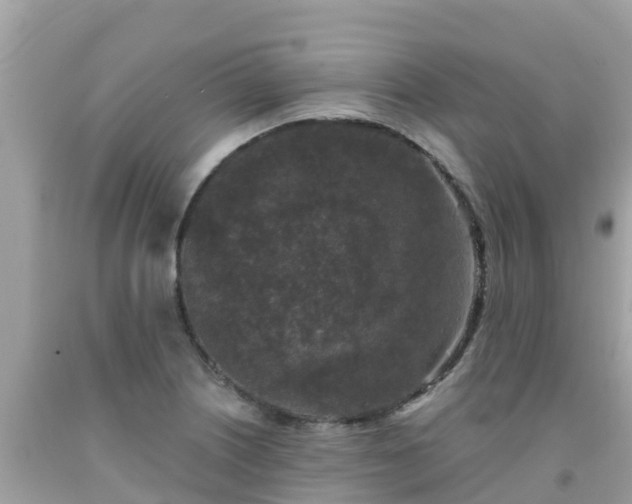 X0000092011226200709131528