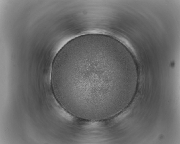 X0000092011228200709131528
