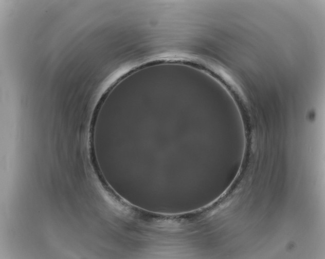 X0000092011229200709131528