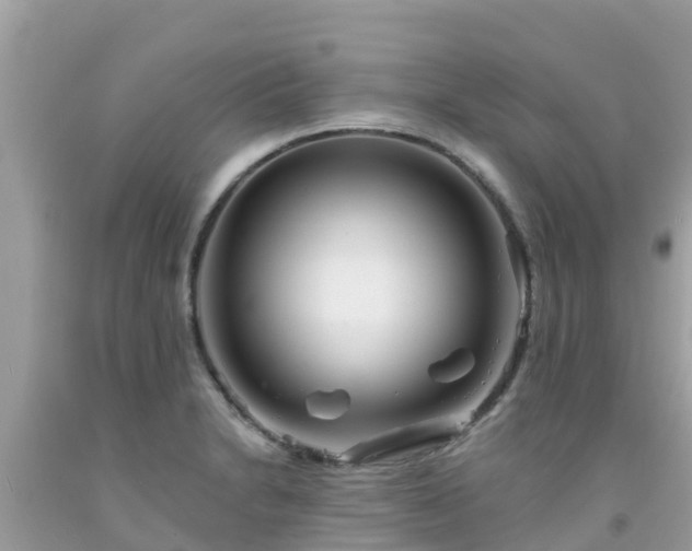 X0000092011230200709131528