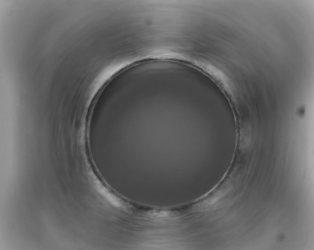 X0000092011231200709131528