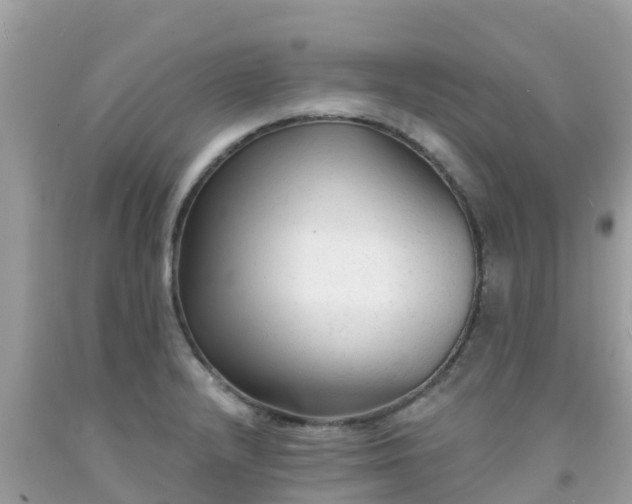 X0000092011232200709131528