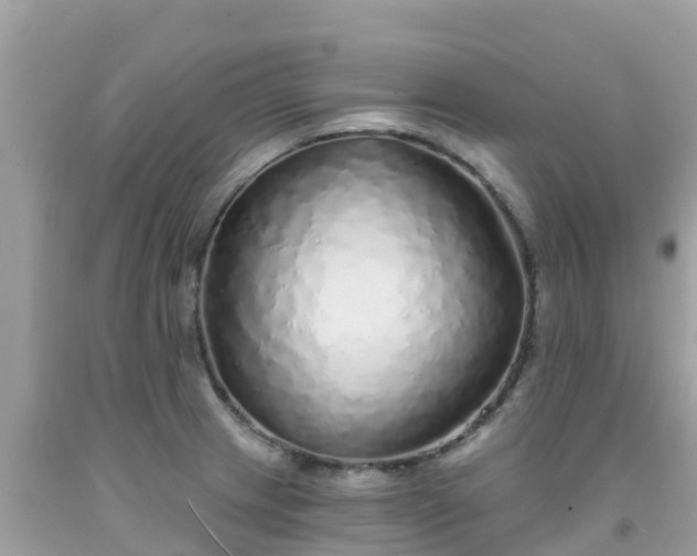 X0000092011233200709131528