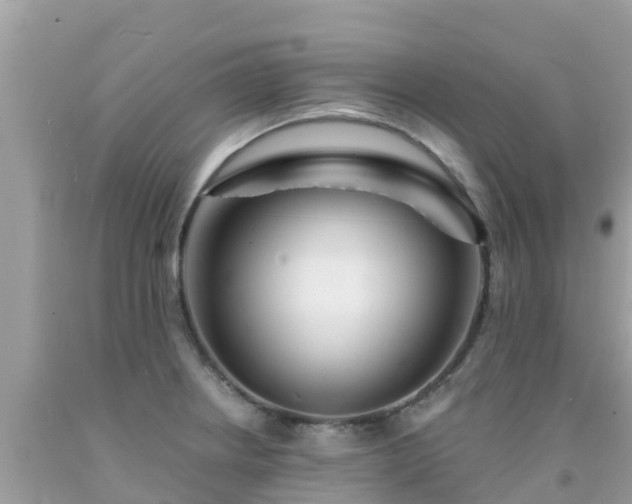 X0000092011234200709131528