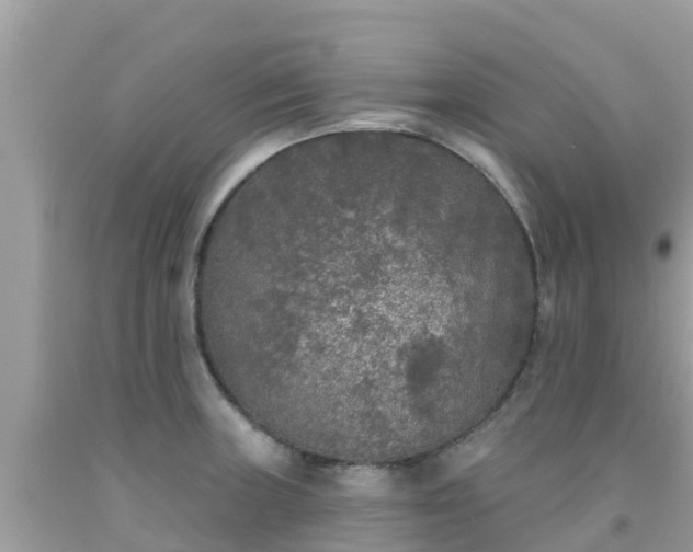 X0000092011235200709131528