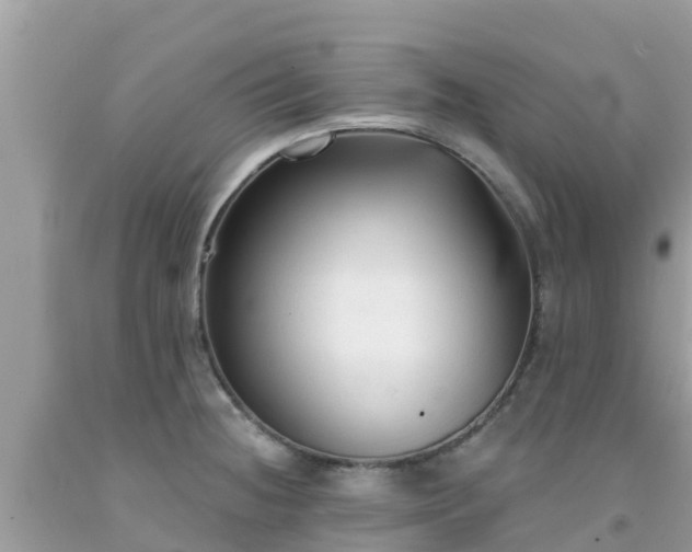 X0000092011236200709131528