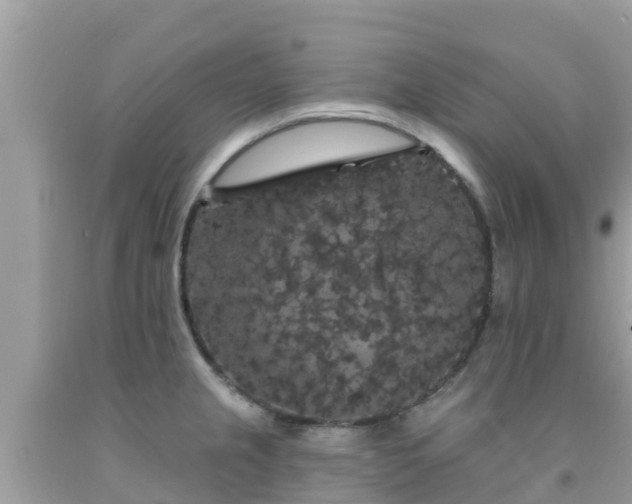 X0000092011237200709131528