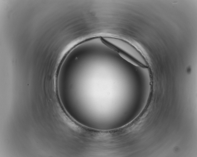 X0000092011238200709131528