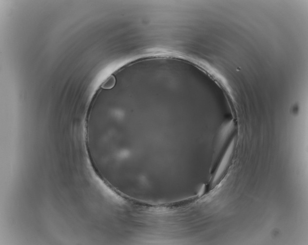 X0000092011239200709131528