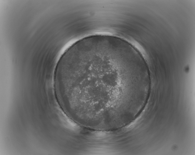 X0000092011240200709131528