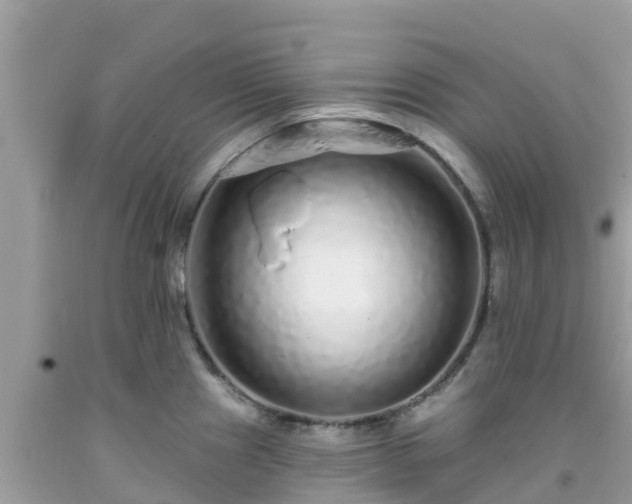X0000092011241200709131528