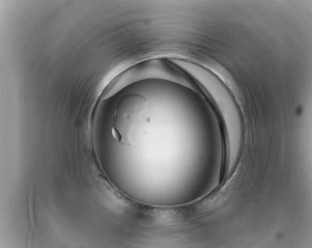 X0000092011242200709131528